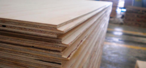 radiata-pine-PINO-estructural-cd-plywood